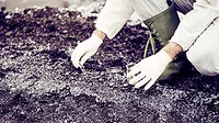 contaminated Superfund site