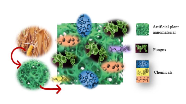 PFAS adsorption