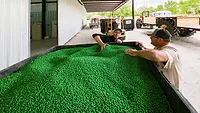 Seed treatments Seed treatments