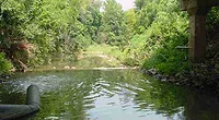 Coldwater Creek Coldwater Creek