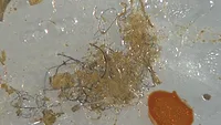Plastic fibers Plastic fibers