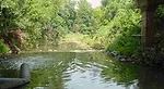 Coldwater Creek
