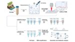  scRACS-Seq/Culture