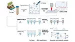  scRACS-Seq/Culture