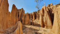 Gullies Great Barrier Reef