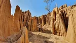 Gullies Great Barrier Reef