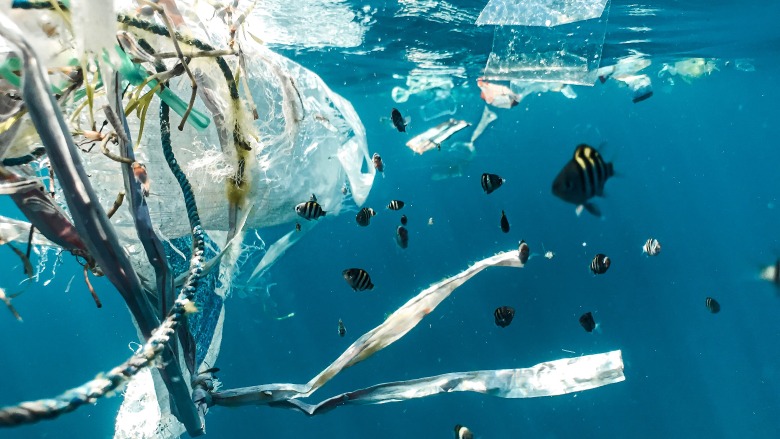 Plastic ocean PFAS