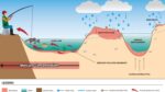 mercury remediation