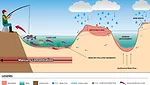 mercury remediation