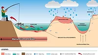 mercury remediation