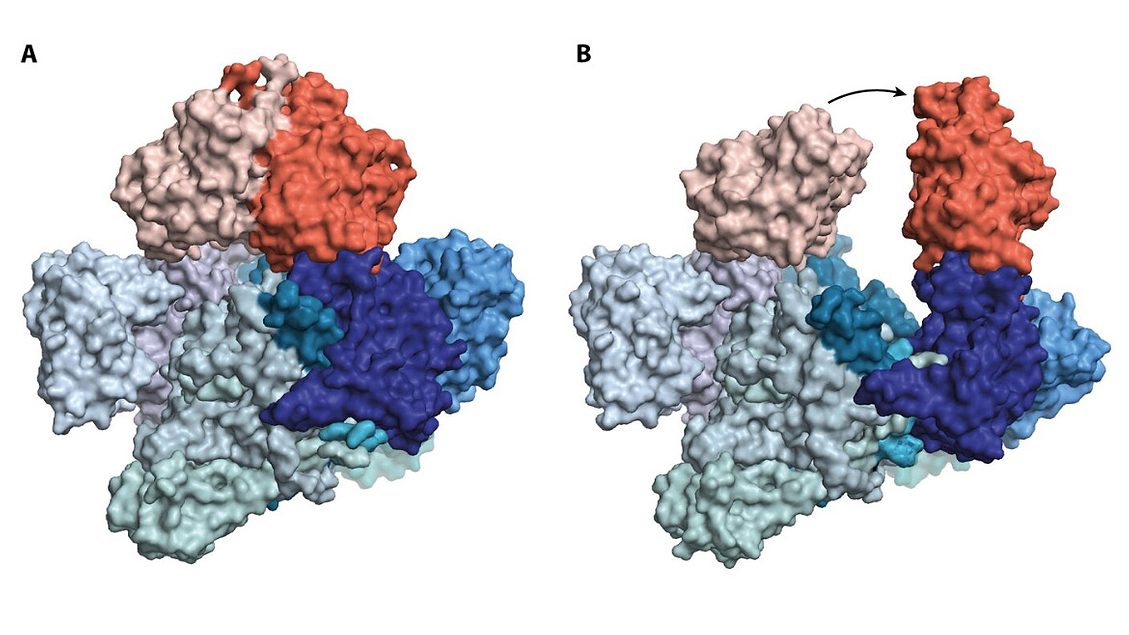 Bacterial enzyme breaks down PFAS molecules Remediation Technology