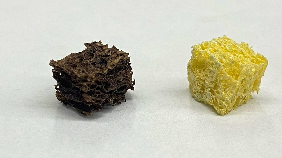 Northwestern University researchers develop sponges to remove lead from