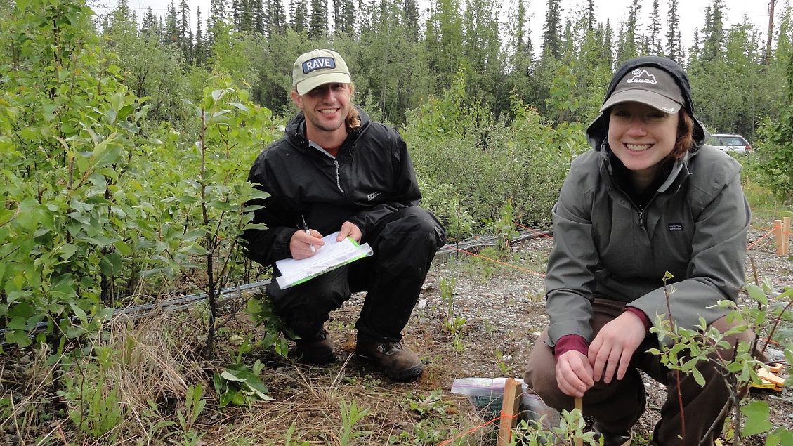 Researchers to optimize grass, fertilizer selection to create the ideal