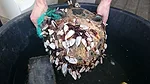 Plastic Removal