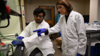 Fertilizer Microplastic