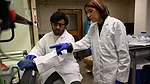 Fertilizer Microplastic