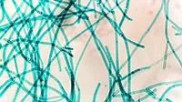 Sucralose Wastewater