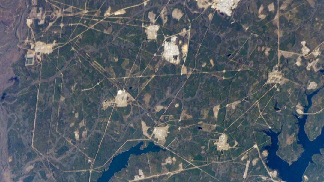 Savannah Aerial
