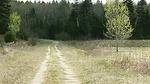 Sears Island
