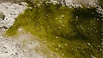 Contaminated water PFAS compliance deadline