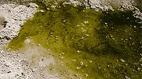 Contaminated water PFAS compliance deadline Contaminated water PFAS compliance deadline