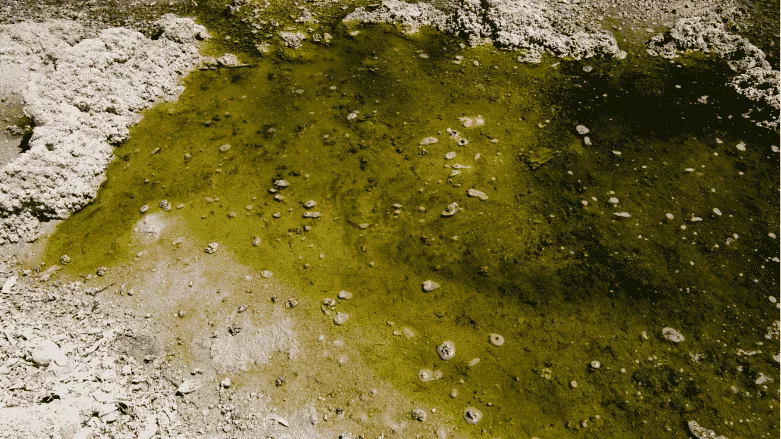 Contaminated water PFAS compliance deadline